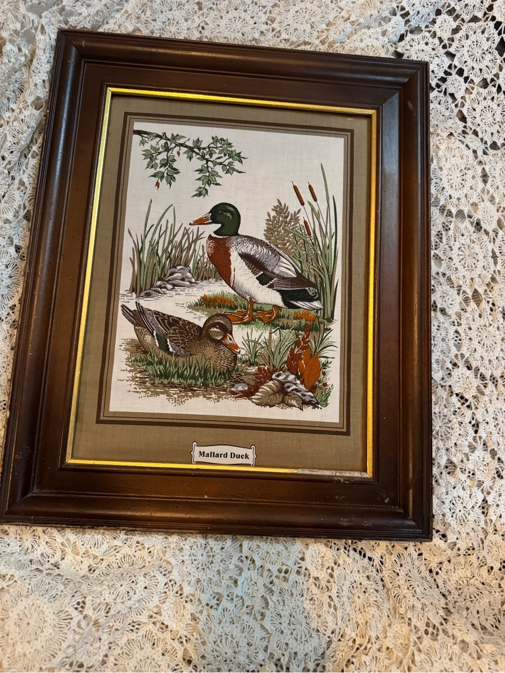 Vintage Brown and Green Mallard Duck Wall Art